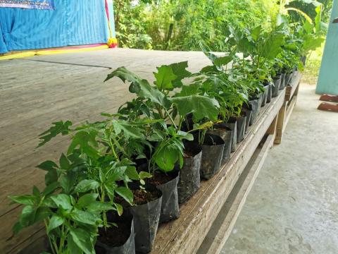 โครงการสภาเด็กและเยาวชนตำบลบ้านตะโก (กิจกรรมส่งเสริมอาชีพการเพาะ