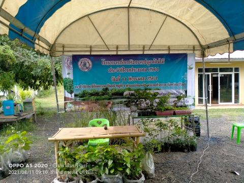 โครงการส่งเสริมการปลูกต้นไม้