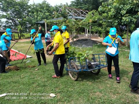 โครงการส่งเสริมการปลูกต้นไม้