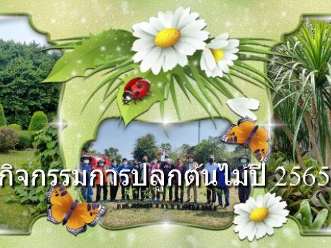 กิจกรรมการปลูกต้นไม้ประจำปี 2565