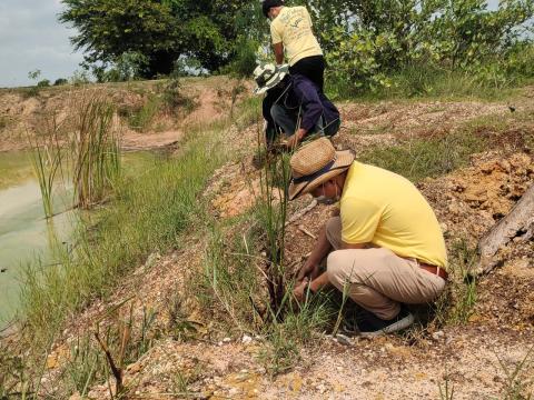 โครงการส่งเสริมการปลูกต้นไม้