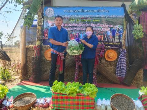 โครงการรณรงค์ไถกลบตอซังข้าว