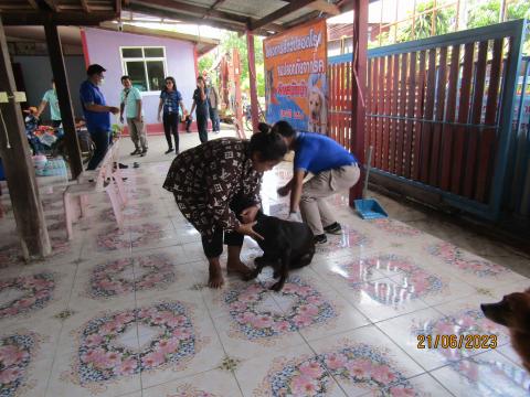 โครงการฉีดวัคซีนป้องกันโรคพิษสุนัขบ้า
