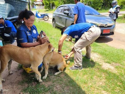 โครงการฉีดวัคซีนป้องกันโรคพิษสุนัขบ้า