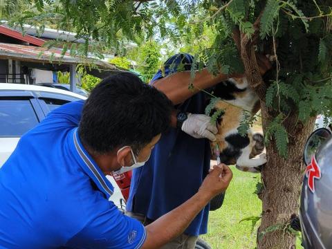 โครงการฉีดวัคซีนป้องกันโรคพิษสุนัขบ้า