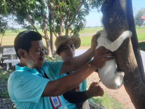 โครงการฉีดวัคซีนป้องกันโรคพิษสุนัขบ้า