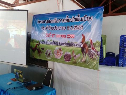 โครงการส่งเสริมการเลี้ยงไก่พื้นเมือง