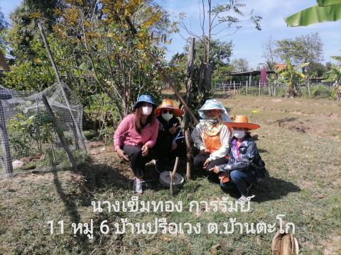 การสำรวจการจัดทำถังขยะเปียกครัวเรือน