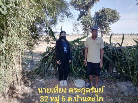 การสำรวจการจัดทำถังขยะเปียกครัวเรือน