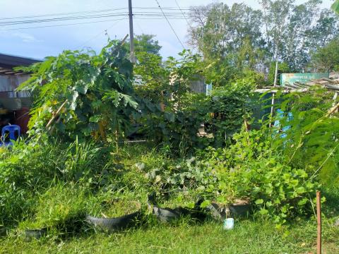 การปรับปรุงภูมิทัศน์หน่วยงาน