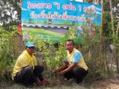 โครงการ 1 อปท. 1 ถนน ท้องถิ่นใส่ใจสิ่งแวดล้อม
