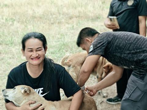 โครงการฉีดวัคซีนป้องกันโรคพิษสุนัขบ้าประจำปี 2569