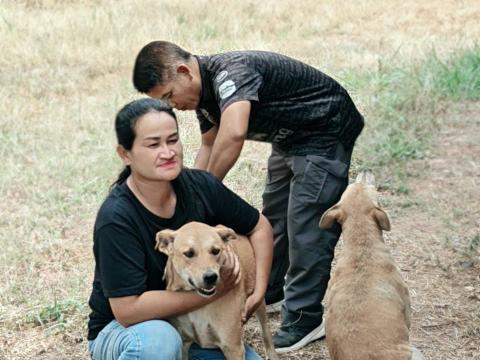 โครงการฉีดวัคซีนป้องกันโรคพิษสุนัขบ้าประจำปี 2569