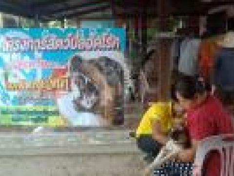 โครงการฉีดวัคซีนป้องกันโรคพิษสุนัขบ้าปี 2562