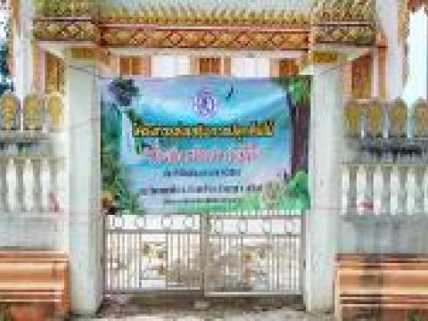 โครงการส่งเสริมการปลูกต้นไม้