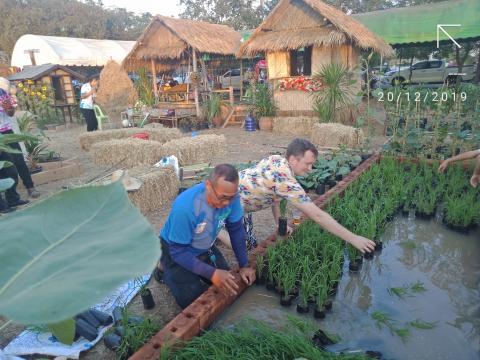 งานประเพณีว่าวอีสานบุรีรัมย์ 20-22 ธันวาคม 2562