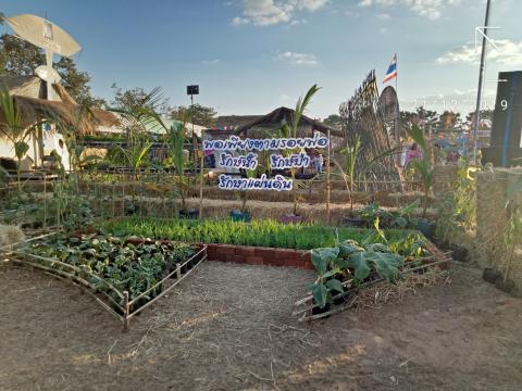 งานประเพณีว่าวอีสานบุรีรัมย์ 20-22 ธันวาคม 2562