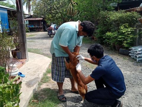 โครงการฉีดวัคซีนป้องกันโรคพิษสุนัขบ้าประจำปี 2563