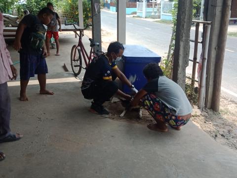 โครงการฉีดวัคซีนป้องกันโรคพิษสุนัขบ้าประจำปี 2563