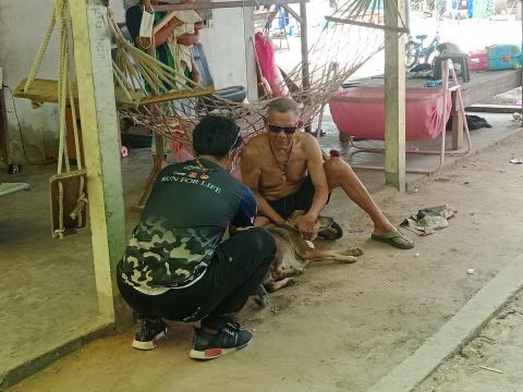 โครงการฉีดวัคซีนป้องกันโรคพิษสุนัขบ้าประจำปี 2563