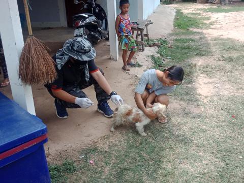 โครงการฉีดวัคซีนป้องกันโรคพิษสุนัขบ้าประจำปี 2563