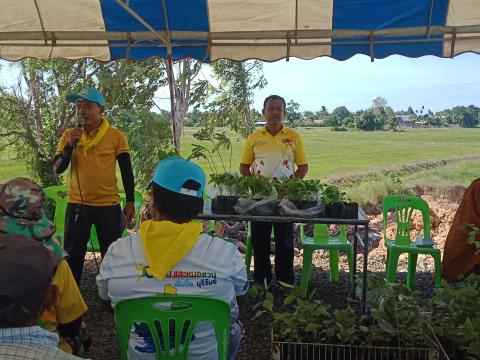 โครงการปลูกป่าเฉลิมพระเกียรติ