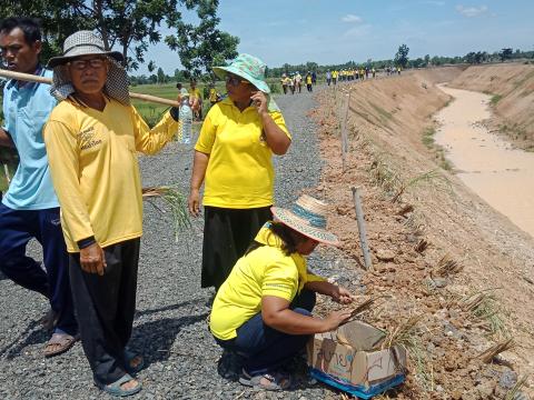 โครงการปลูกป่าเฉลิมพระเกียรติ