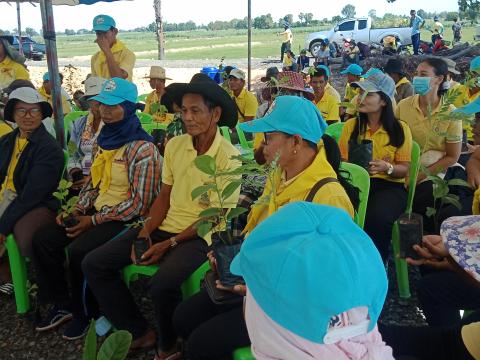โครงการปลูกป่าเฉลิมพระเกียรติ