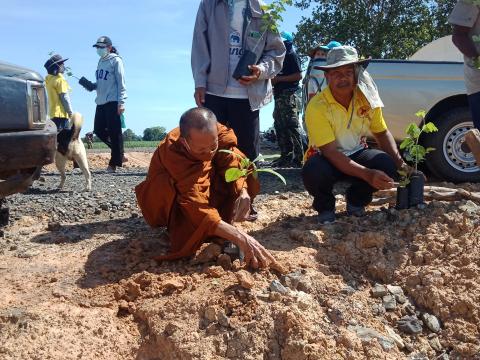 โครงการปลูกป่าเฉลิมพระเกียรติ