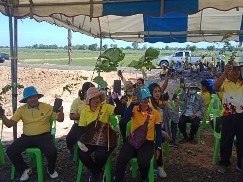 โครงการปลูกป่าเฉลิมพระเกียรติ