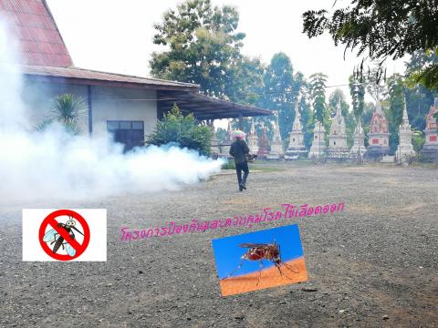 โครงการป้องกันควบคุมและป้องกันโรคไข้เลือดออกปี 2563